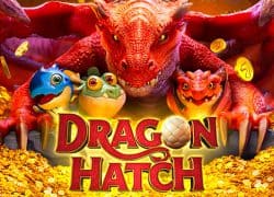 Dragon Hatch Paradise 8 Casino Game