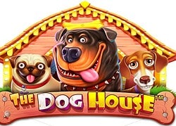 Dog House Paradise 8 Casino Game
